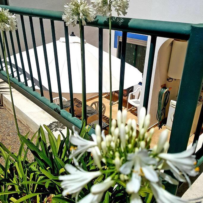 Apartamento Encantador A 100M Da Praia 카르보에이루 외부 사진