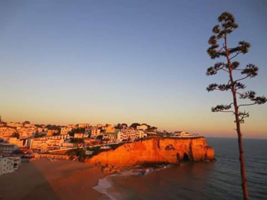 Apartamento Encantador A 100M Da Praia 카르보에이루 외부 사진